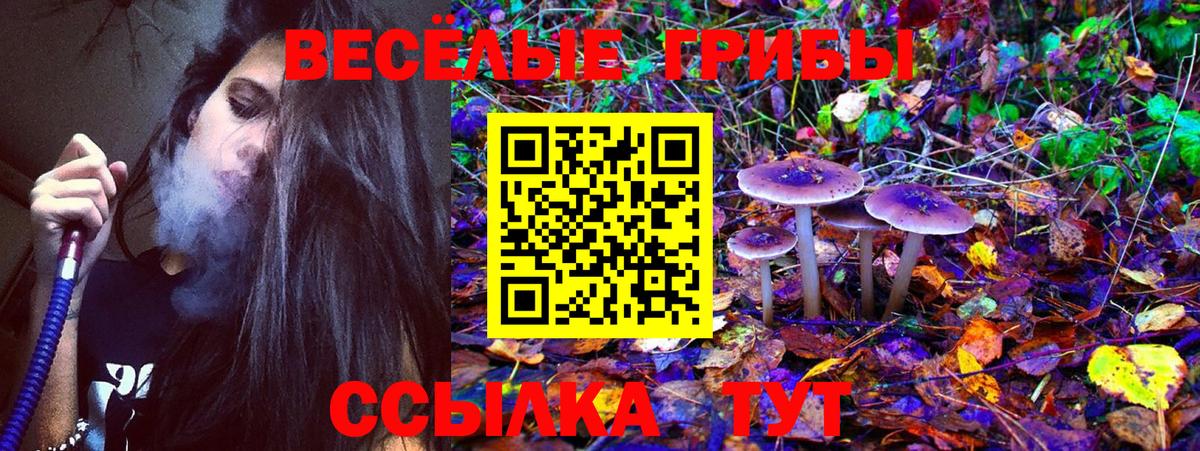Луга  Псилоцибиновые грибы MAGIC MUSHROOMS  Галлюциногенные грибы MAGIC MUSHROOMS  Вход с VPN 