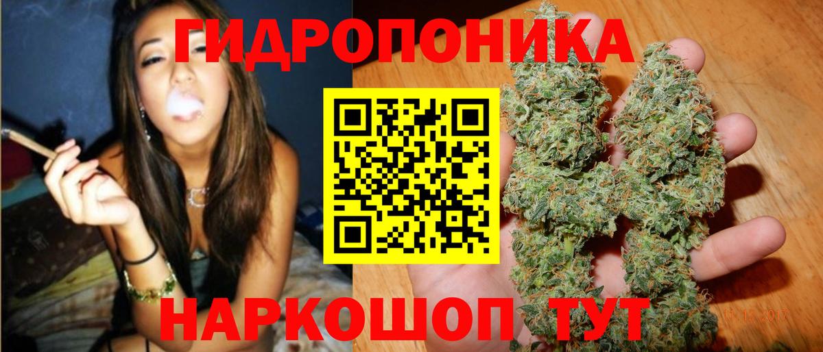 Каннабис ГИДРОПОН  Бошки марихуана VHQ  Вход с VPN  Каннабис White Widow  Луга 
